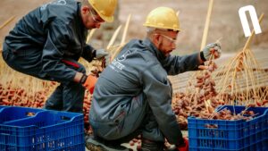 Sicurezza, branding e riconoscibilità: ecco perché l’abbigliamento personalizzato è un vantaggio per la tua azienda. Scopri le soluzioni di Nemesi.